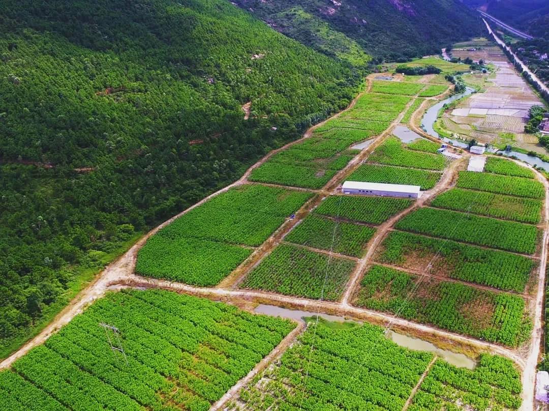 【2019年度美高梅
荣誉体系先进集体系列报道四:羊城集团】坚定信心 奋勇争先 谱写新时代羊城集团全面转型发展新篇章 【2019年度美高梅
荣誉体系先进集体系列报道四:羊城集团】坚定信心 奋勇争先 谱写新时代羊城集团全面转型发展新篇章