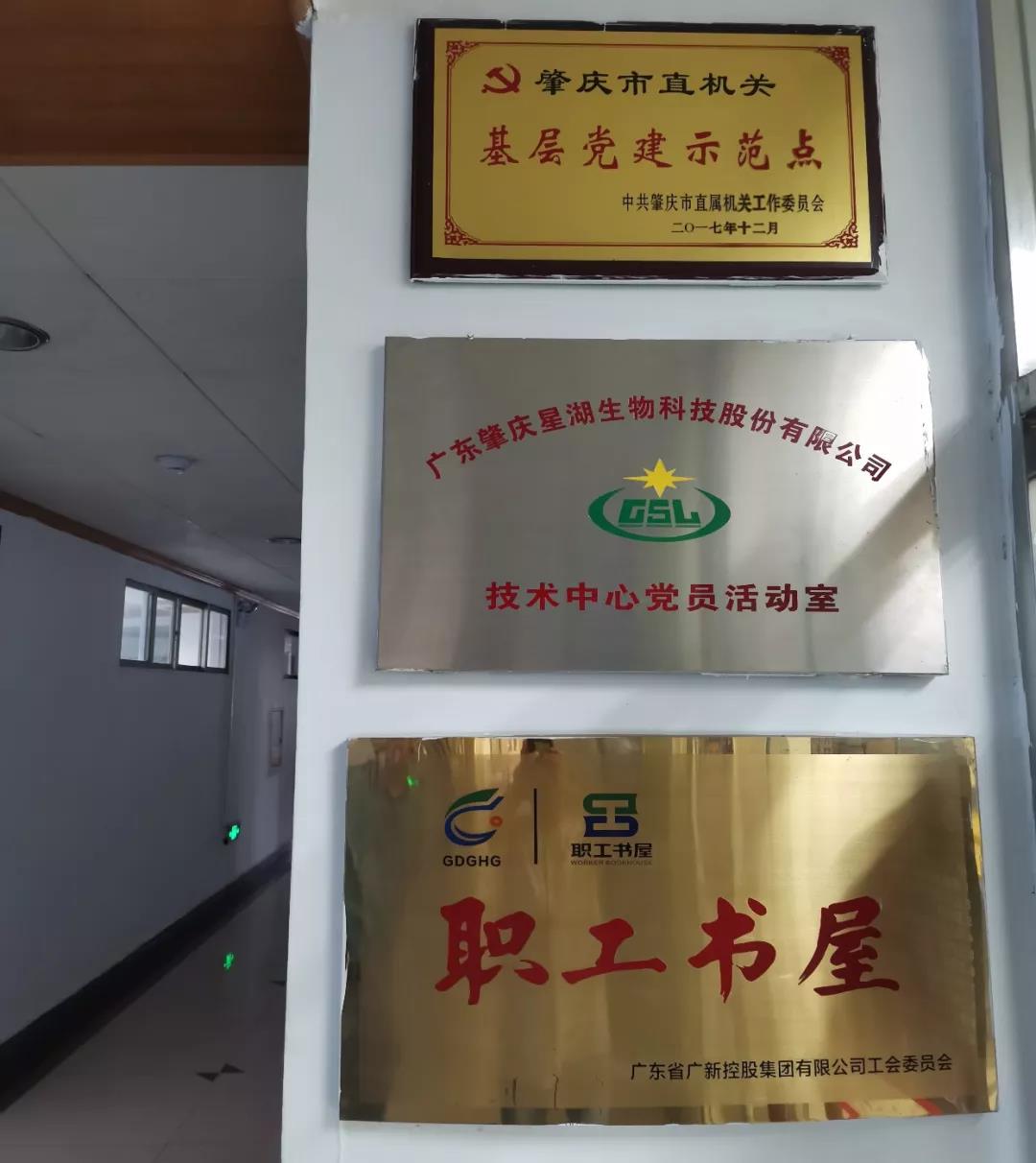 【“五强五化”系列报道之七】星湖科技:夯实基层基础 打造党建高地 【“五强五化”系列报道之七】星湖科技:夯实基层基础 打造党建高地