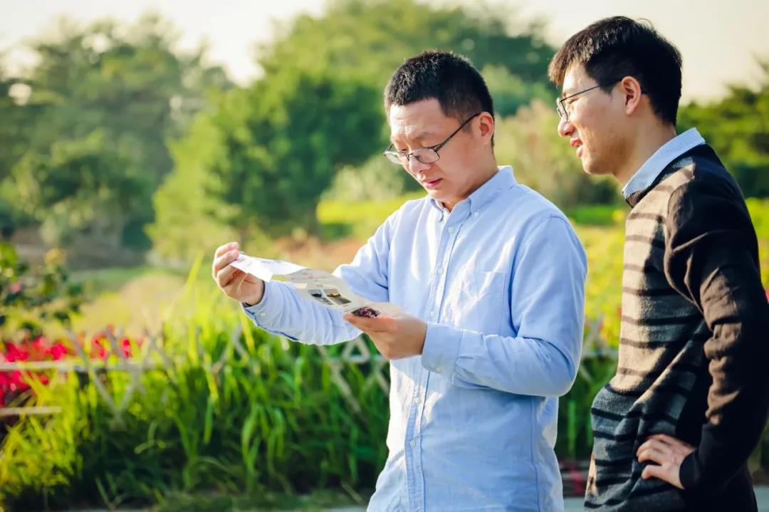 聚力迎新 奋进2022——集团总部开展团建(健走)活动 聚力迎新 奋进2022——集团总部开展团建(健走)活动