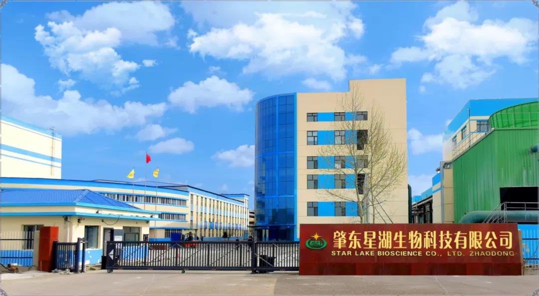 【“新美高梅
 新风采”专题报道】 星湖科技：打造粤龙合作项目 赋能产业高质量发展