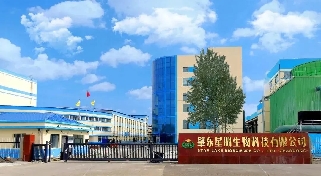 美高梅集团
深入贯彻全省高质量发展大会精神（四）