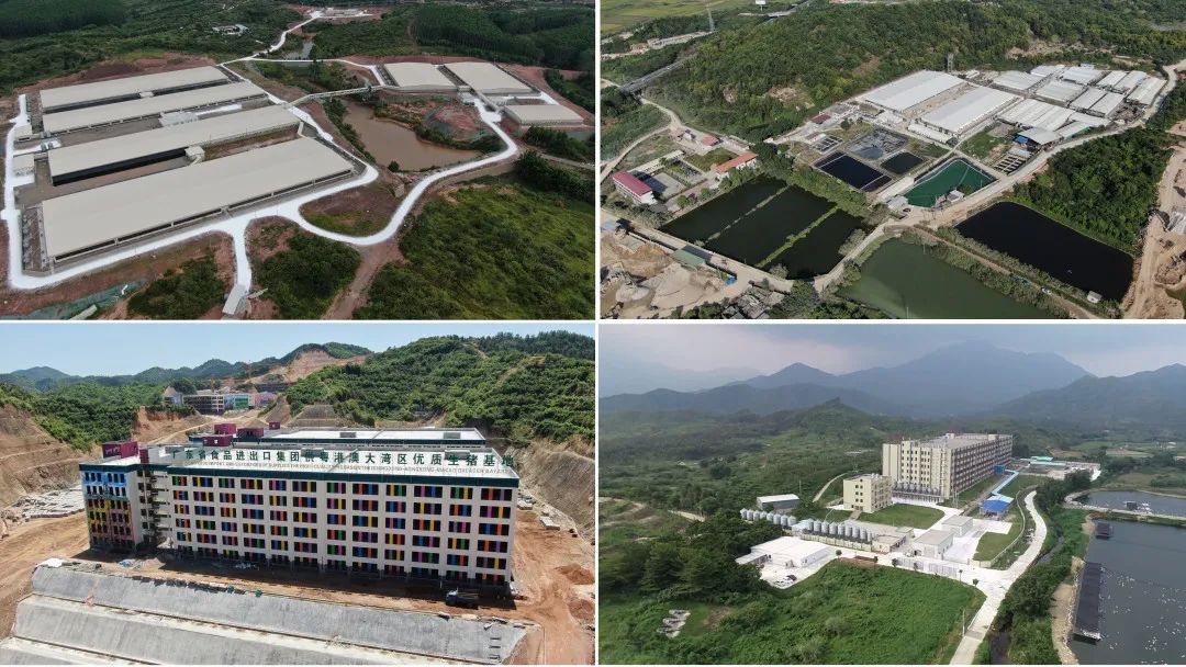 美高梅集团
深入贯彻全省高质量发展大会精神(六) 美高梅集团
深入贯彻全省高质量发展大会精神(六)