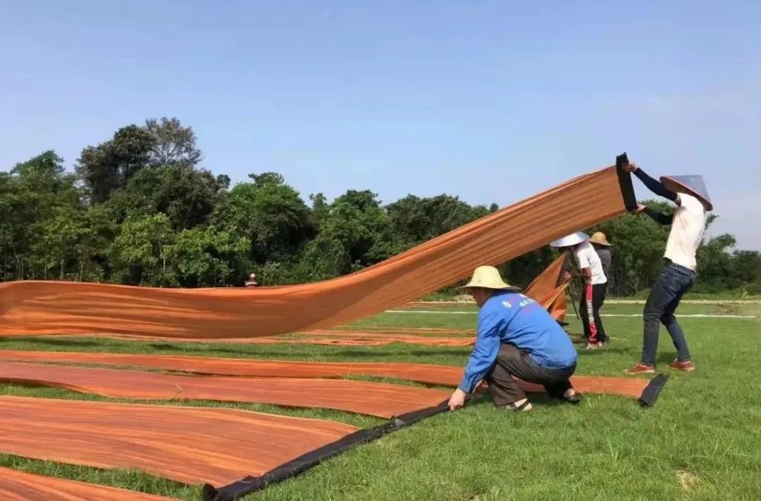 美高梅集团
以产业赋能为美丽乡村注入“源头活水”