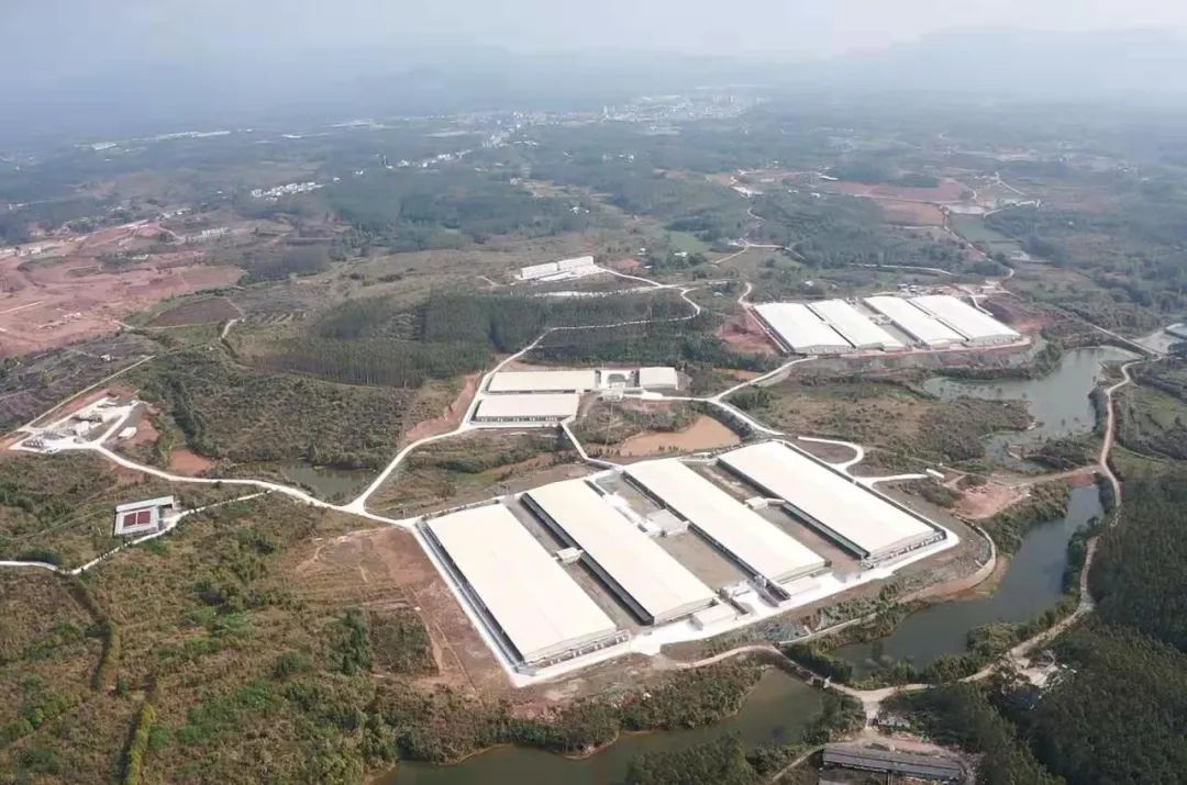 行稳致远、笃行向新——美高梅集团
董事会推动企业实现高质量发展 行稳致远、笃行向新——美高梅集团
董事会推动企业实现高质量发展