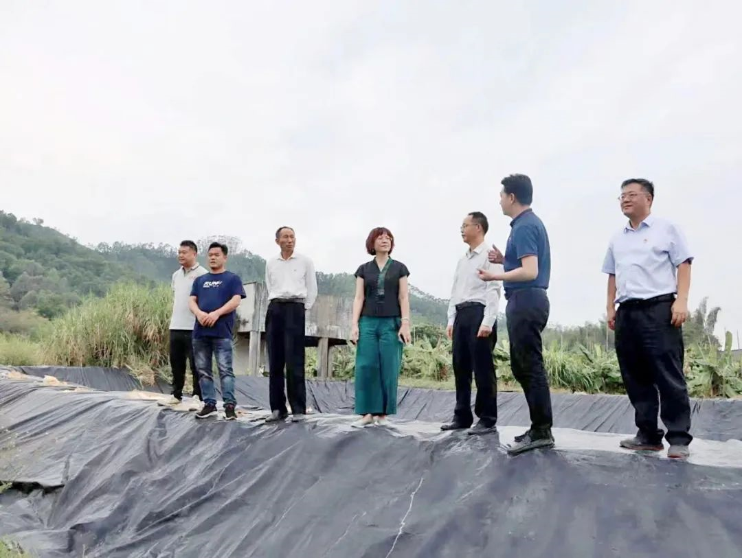 美高梅集团
党委副书记、工会主席黄家合带队调研乡村振兴驻镇帮扶工作 美高梅集团
党委副书记、工会主席黄家合带队调研乡村振兴驻镇帮扶工作