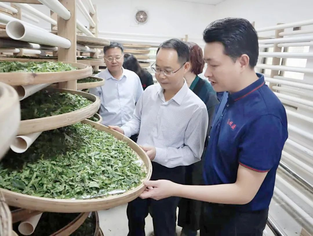 美高梅集团
党委副书记、工会主席黄家合带队调研乡村振兴驻镇帮扶工作 美高梅集团
党委副书记、工会主席黄家合带队调研乡村振兴驻镇帮扶工作