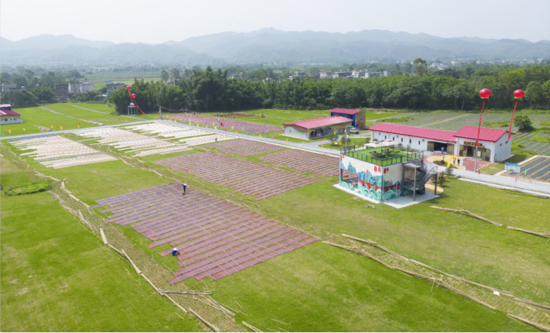 锚定目标任务 突出贯通落实 | 以主题教育成效推动美高梅集团
高质量发展 锚定目标任务 突出贯通落实 | 以主题教育成效推动美高梅集团
高质量发展