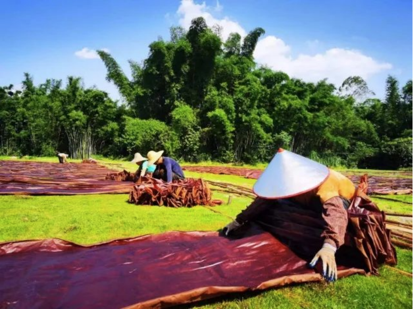 南方农村报报道:美高梅集团
为和美乡村注入“源头活水” 南方农村报报道:美高梅集团
为和美乡村注入“源头活水”