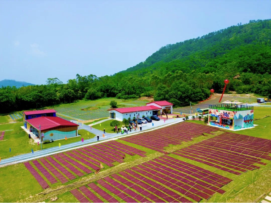 南方农村报报道:美高梅集团
为和美乡村注入“源头活水” 南方农村报报道:美高梅集团
为和美乡村注入“源头活水”