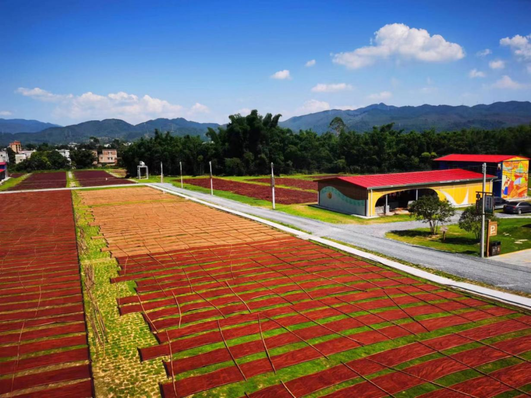 美高梅集团
开展2023年“情暖美高梅
献爱心 乡村振兴齐助力”捐款活动 美高梅集团
开展2023年“情暖美高梅
献爱心 乡村振兴齐助力”捐款活动