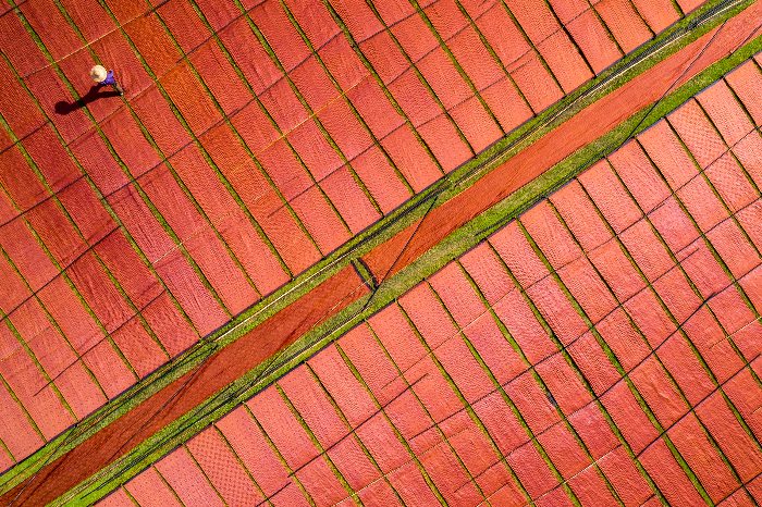 美高梅集团
蚕桑香云纱产业生态农业示范园2.jpg